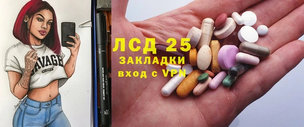 индика Пестово