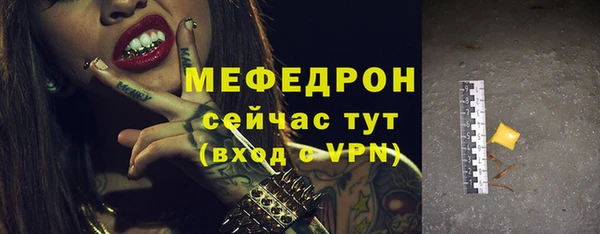 индика Пестово