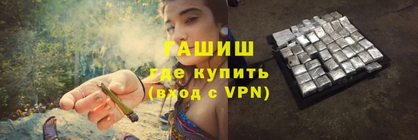 индика Пестово