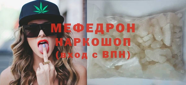 индика Пестово