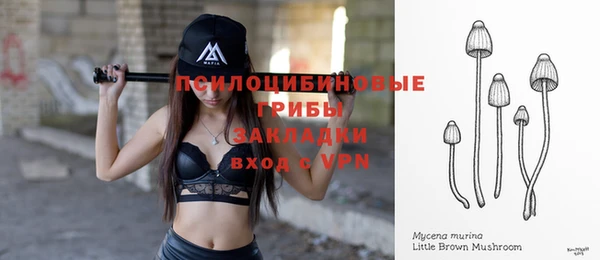 гашик Кстово
