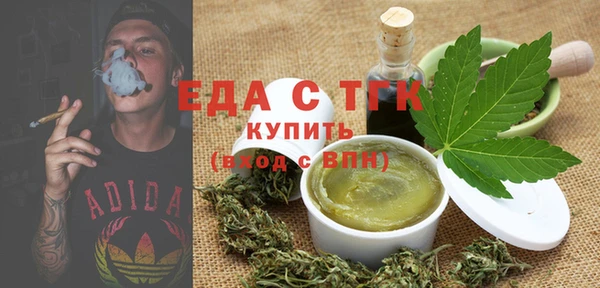 индика Пестово
