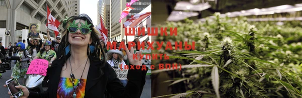 индика Пестово