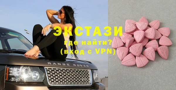 индика Пестово