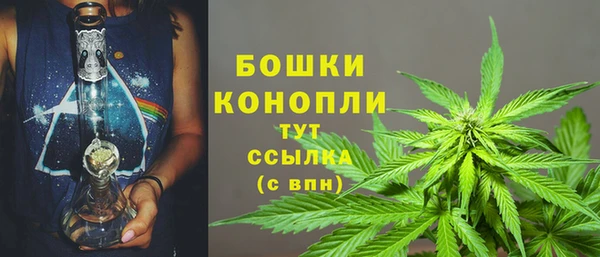 индика Пестово