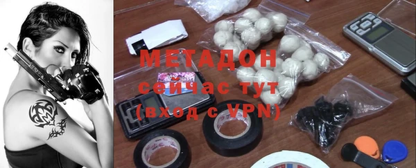 индика Пестово