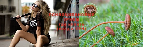 альфа пвп Пересвет