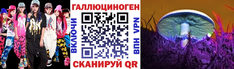 Галлюциногенные грибы Psilocybine cubensis  Отрадный 