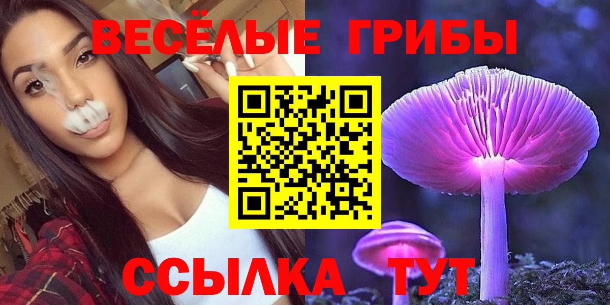 Отрадный  Галлюциногенные грибы MAGIC MUSHROOMS  Вход с VPN 