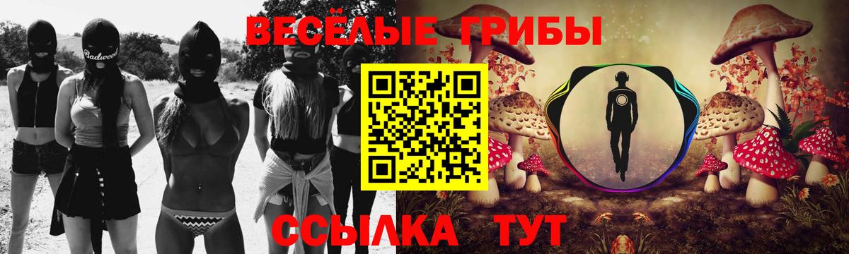 Псилоцибиновые грибы Cubensis Отрадный